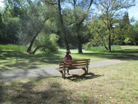 theidealbench, spring, bench, book