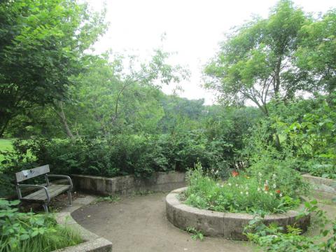 theidealbench, park, book, books, literature 